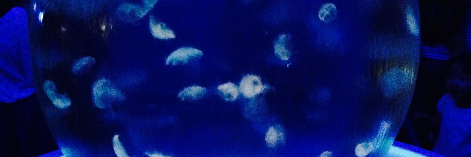 cheat_deceive's profile banner image