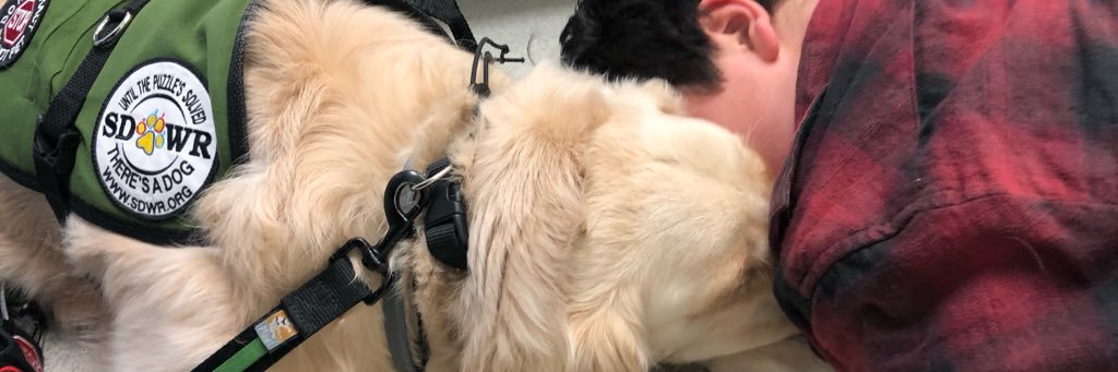 melmaxmo's profile banner image