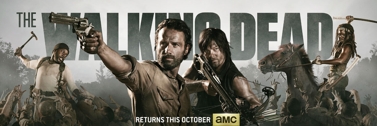 TWDfrenchzone's profile banner image