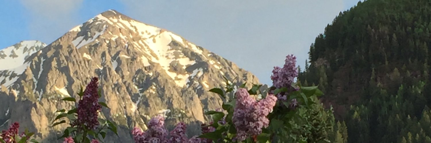 lhthomas76's profile banner image