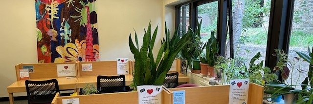 Newcomb Library 📚💻📱🤔ℹ️ banner