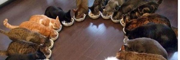 RemeMarques Profile Banner