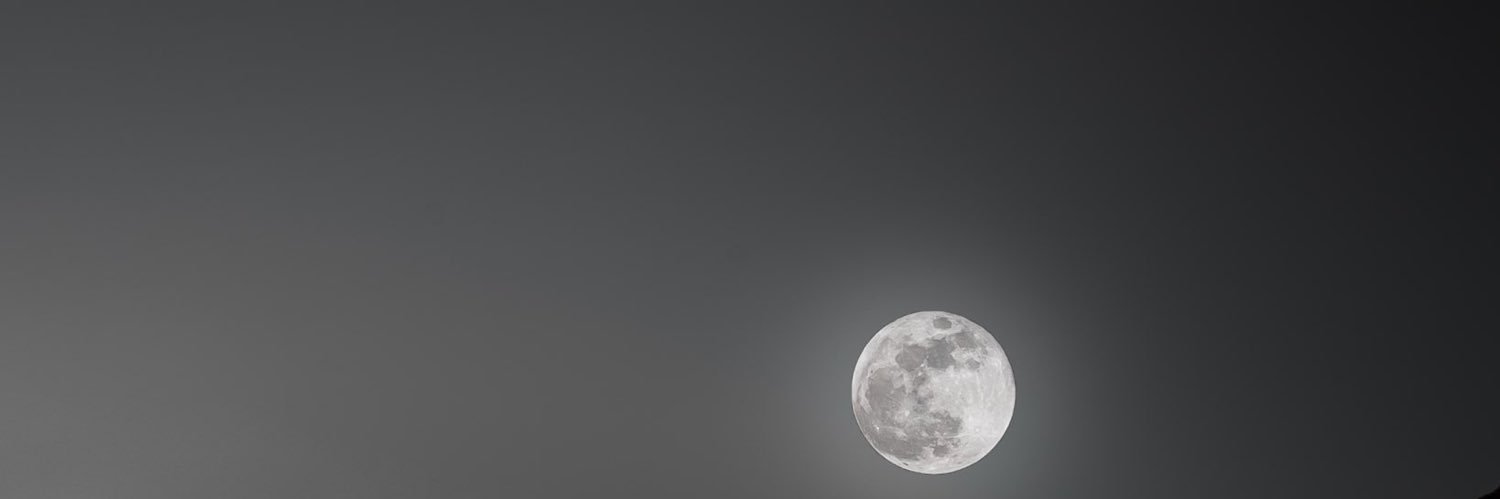 0bunnyki's profile banner image