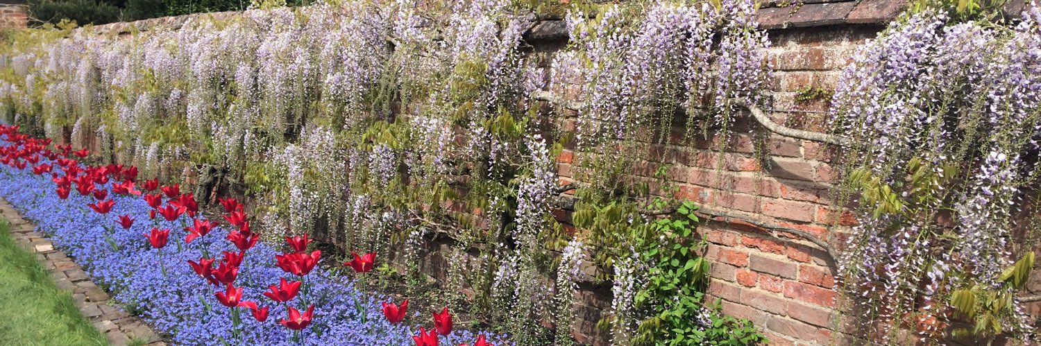 Bexploder ☮️ banner