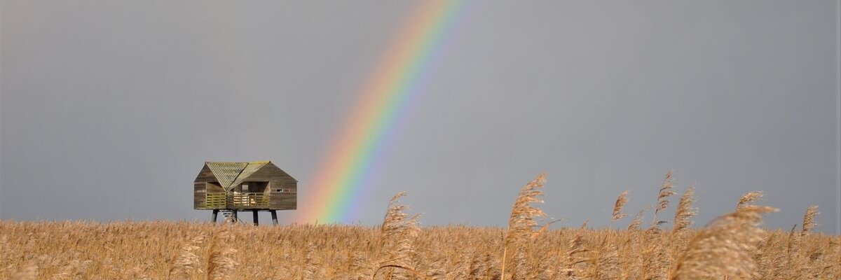 Het Groninger Landschap banner