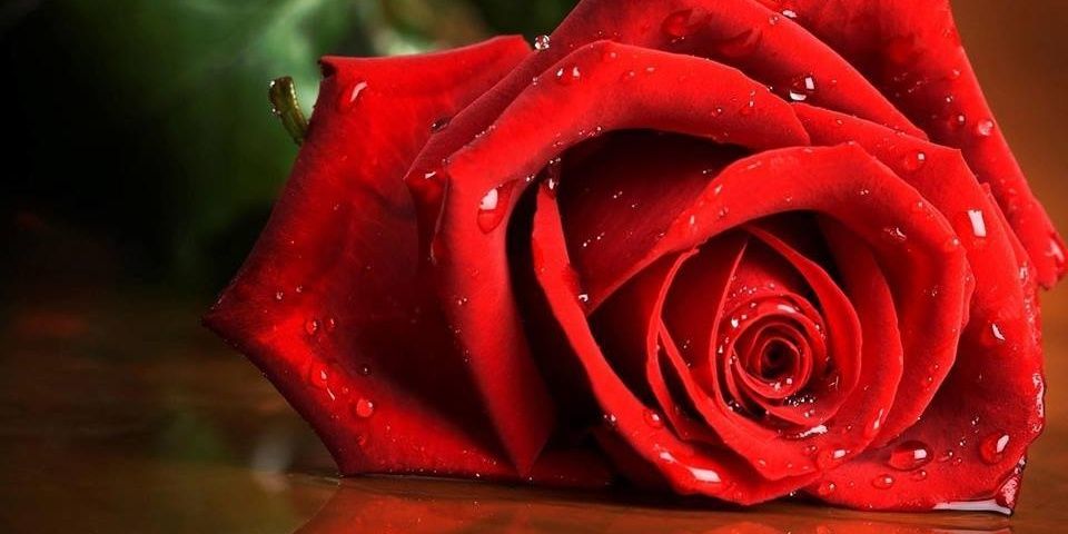 qamar314's profile banner image