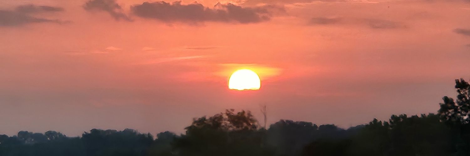 Michelle Gray banner