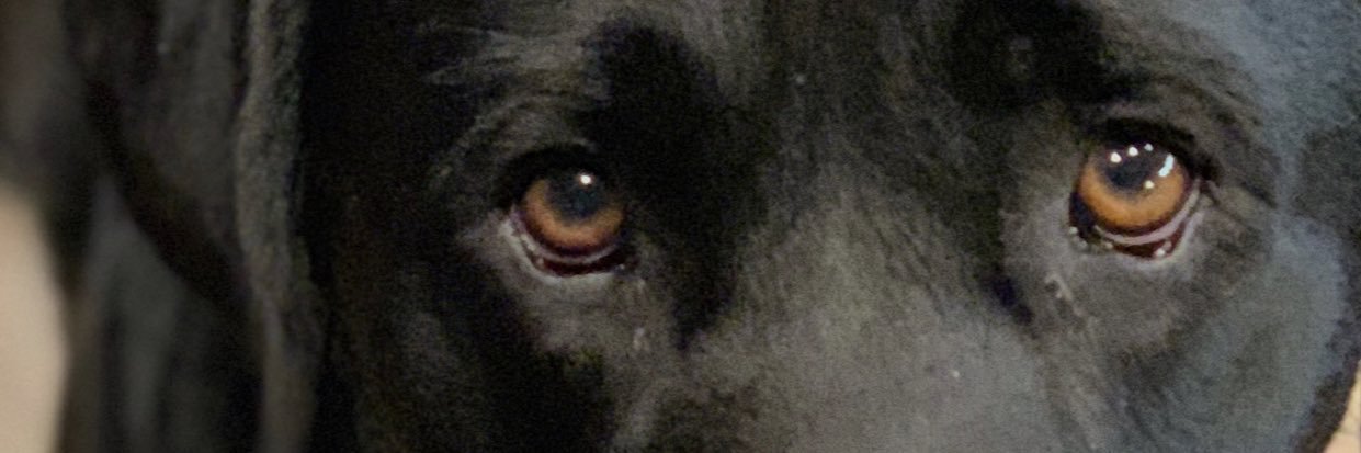 ErrnTaylor's profile banner image