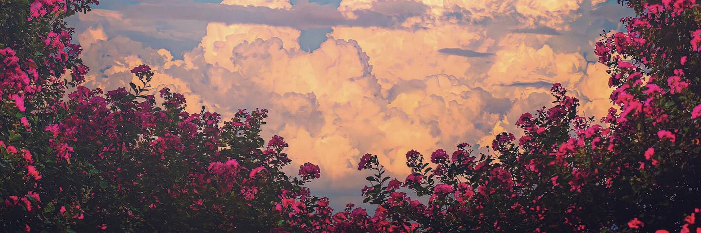 candancevik_'s profile banner image