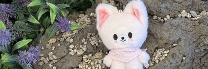 itsmethecatlady's profile banner image