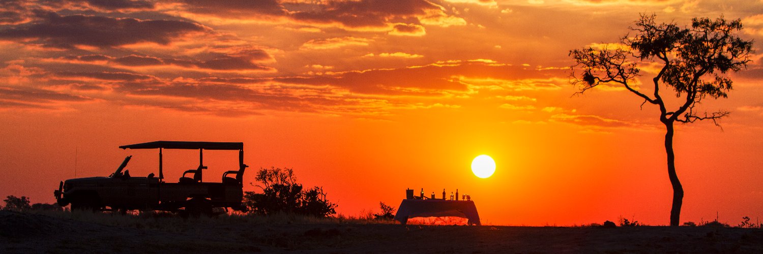 Liquid Giraffe banner