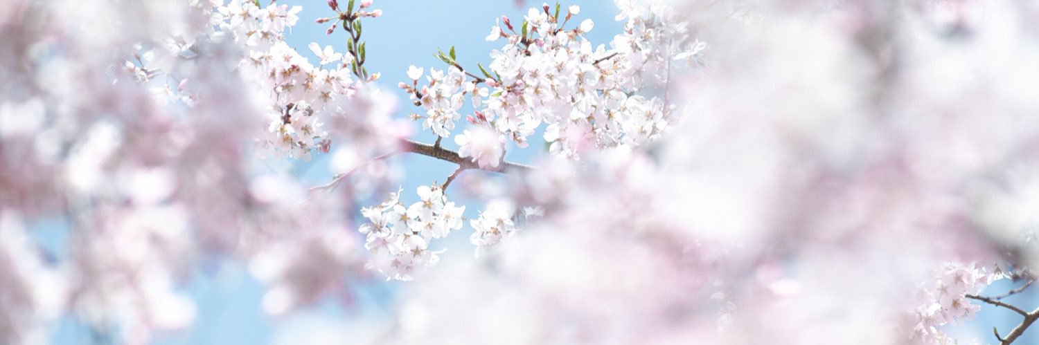 Chu_nnG's profile banner image
