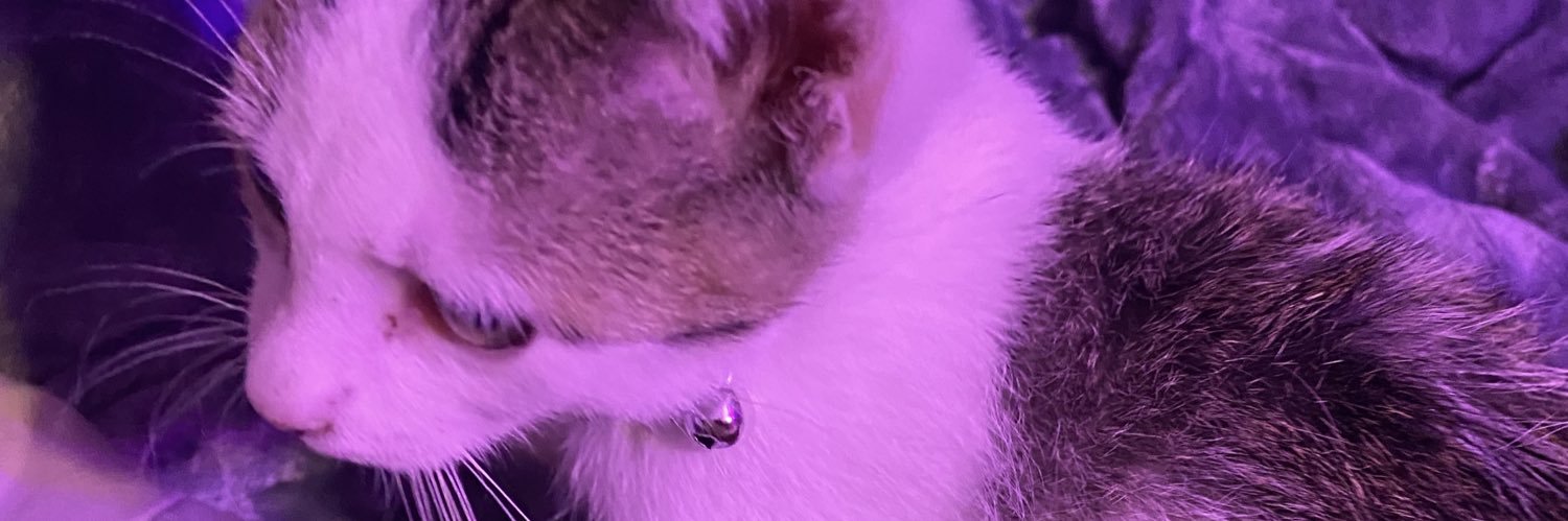 oubie99's profile banner image