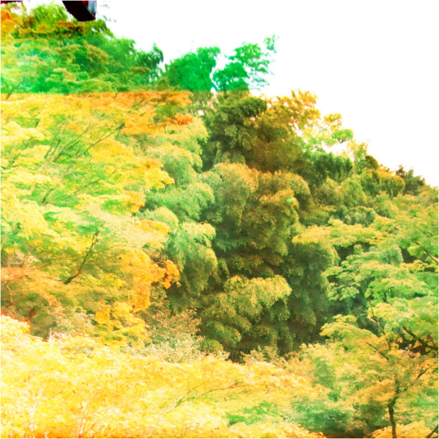 PWatch123's profile banner image
