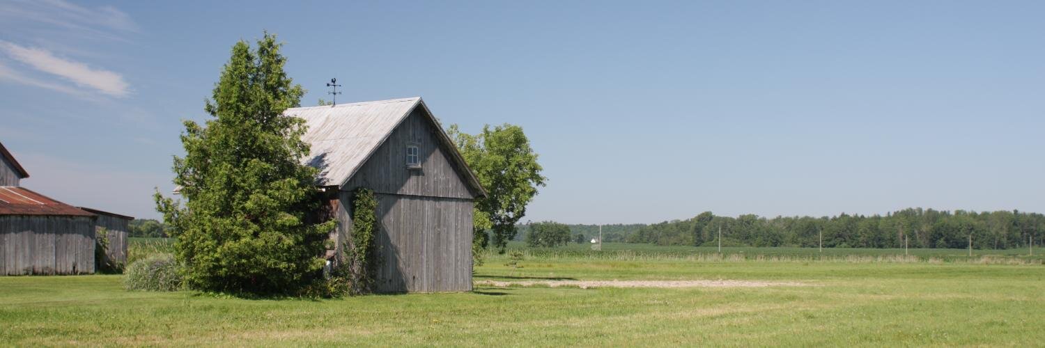Pégase banner