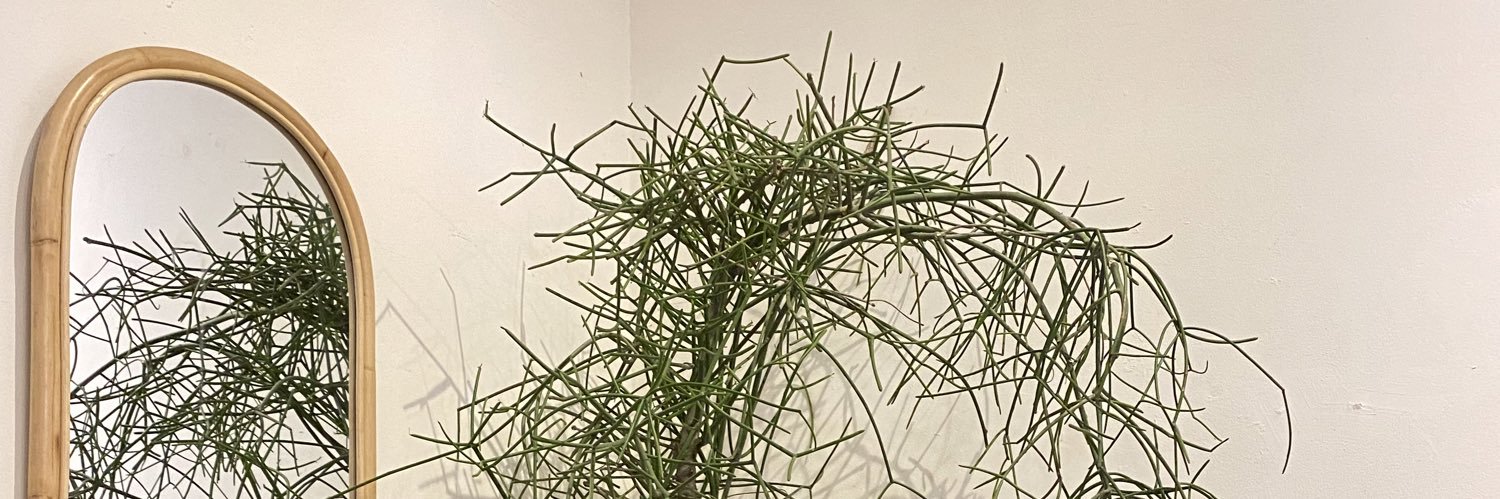 nyaelah_'s profile banner image