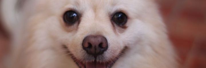 nikkalotss's profile banner image