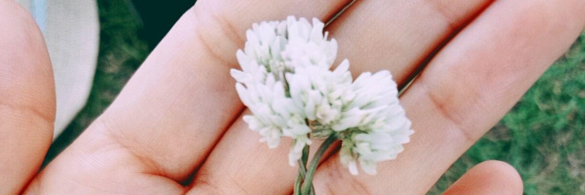 apsn_xxx's profile banner image