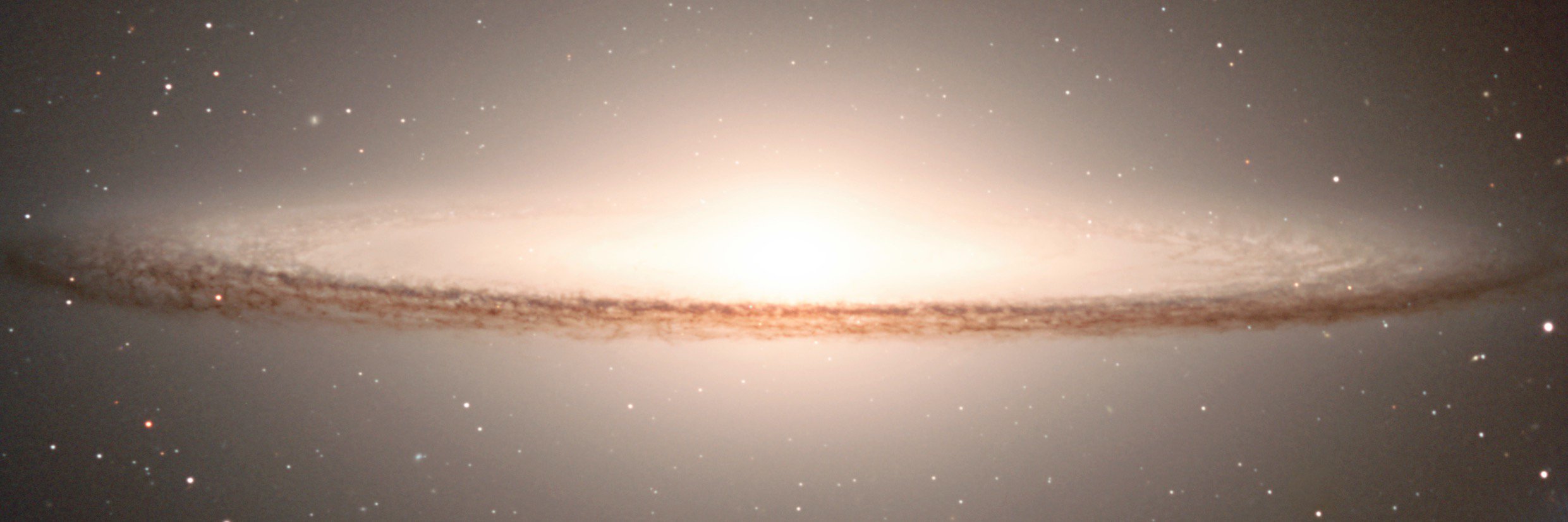 maksteriX's profile banner image