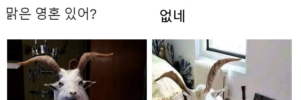 eligiblefor_T's profile banner image