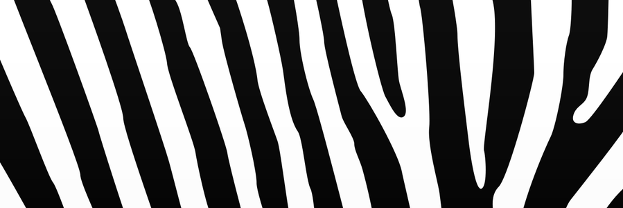CryptoZebra's profile banner image