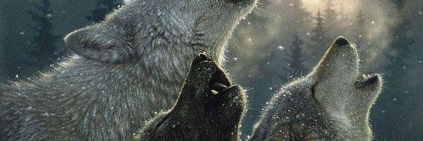 twitrota's profile banner image