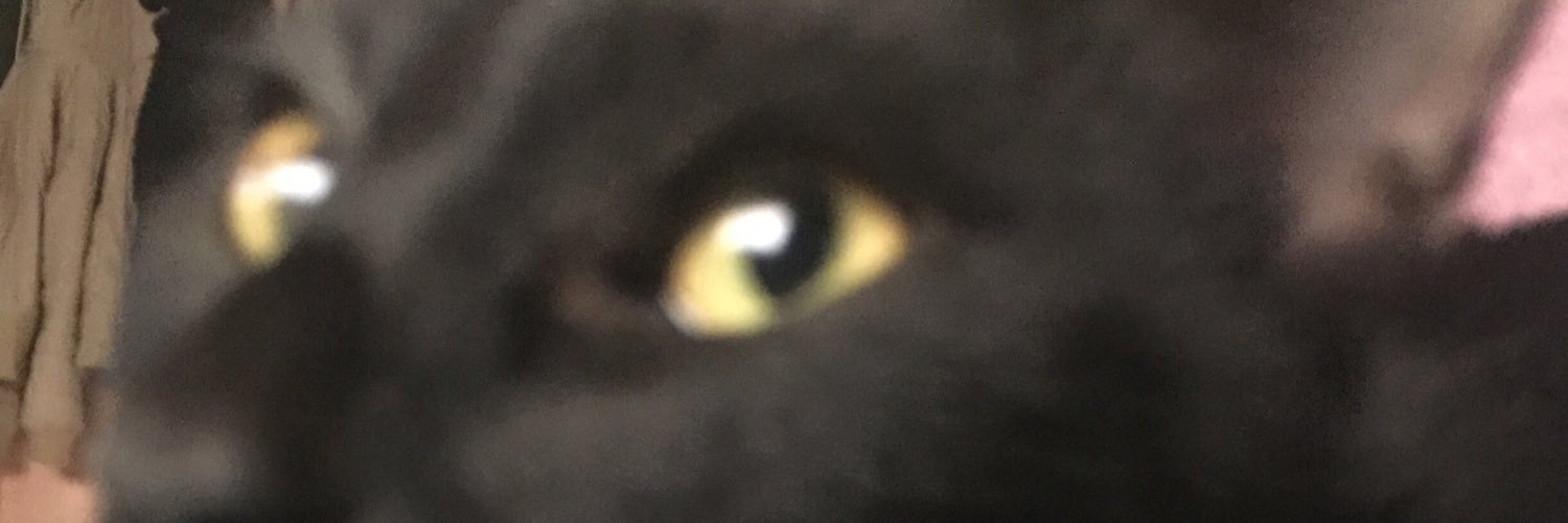 paoqblas's profile banner image