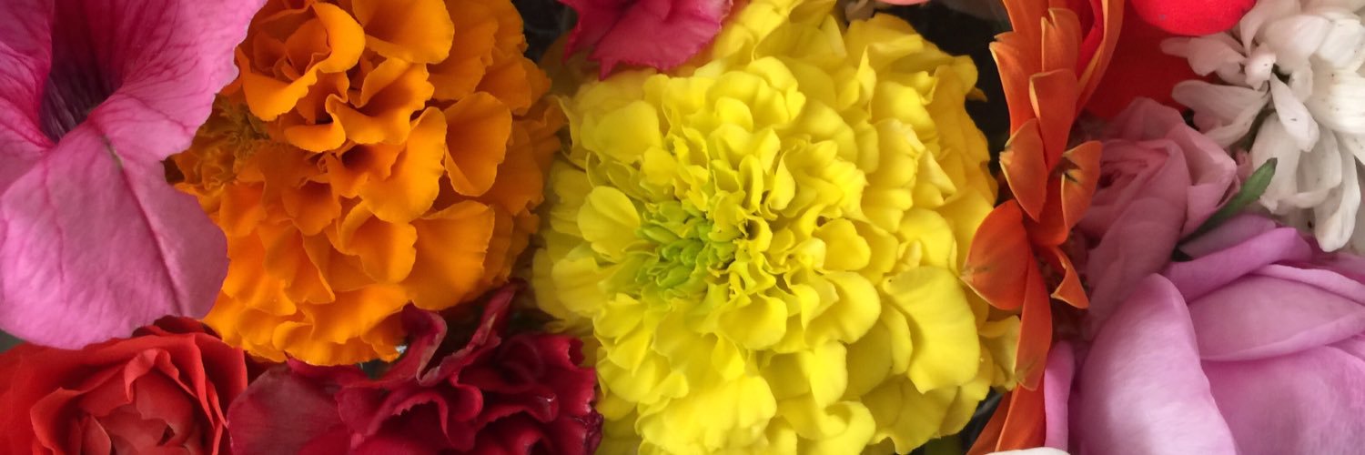 زهرة الياسمين 👩‍🌾👩‍🎨👩‍🍳 banner