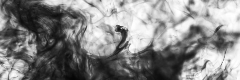 lisa_dankert's profile banner image