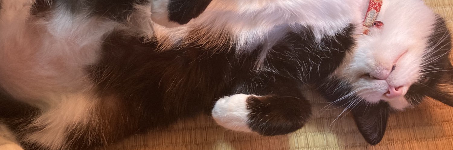 jaba4649's profile banner image