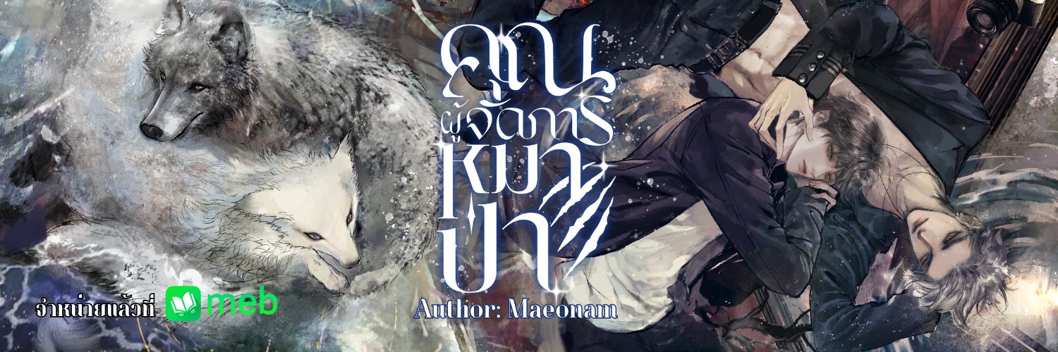 maeonamz's profile banner image