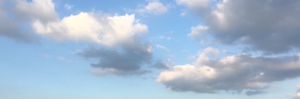 rripandoj's profile banner image
