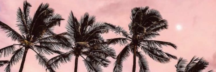 Sarahbward18's profile banner image