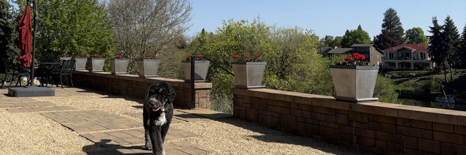 maddyjwagner's profile banner image