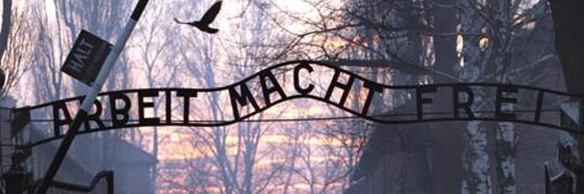 SBHECRI's profile banner image