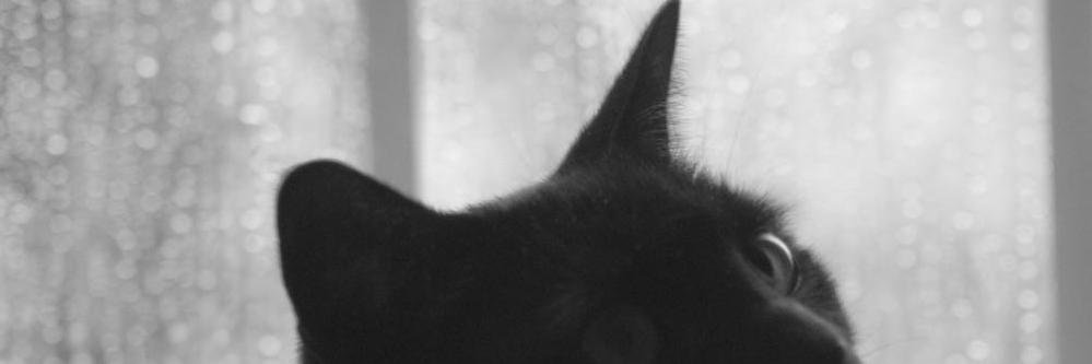 scyho_'s profile banner image