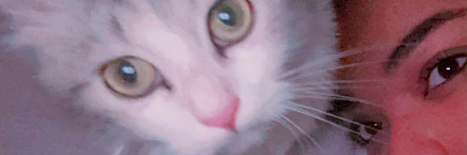 catchnisa's profile banner image