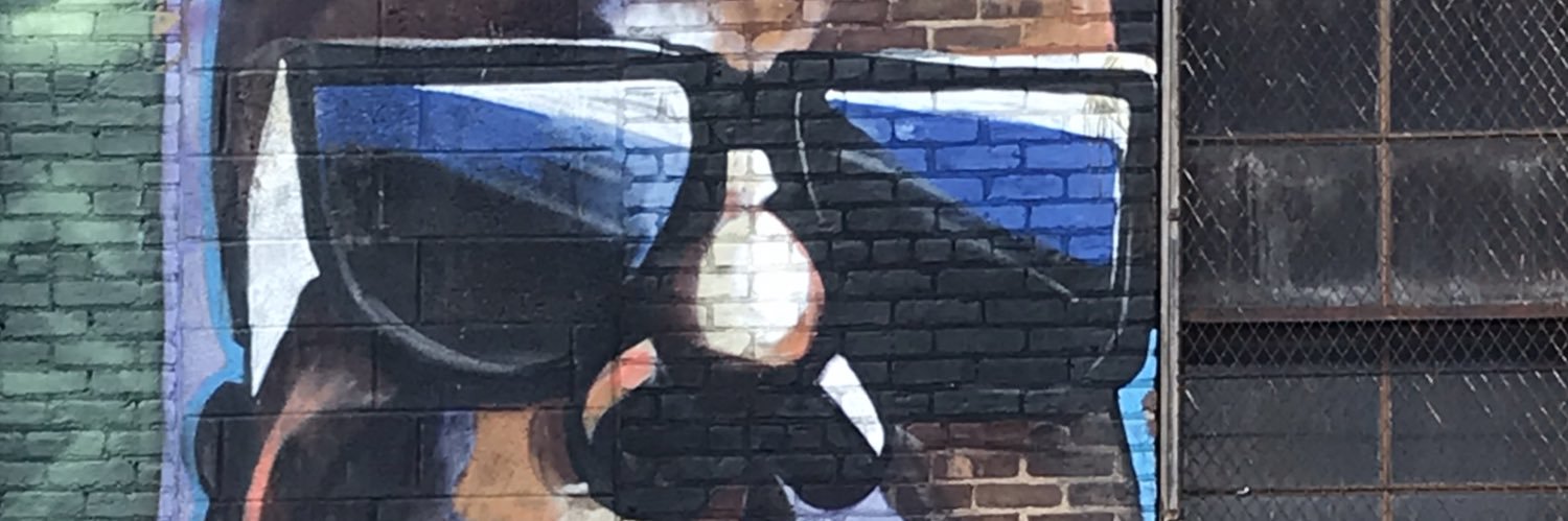 Fitz banner