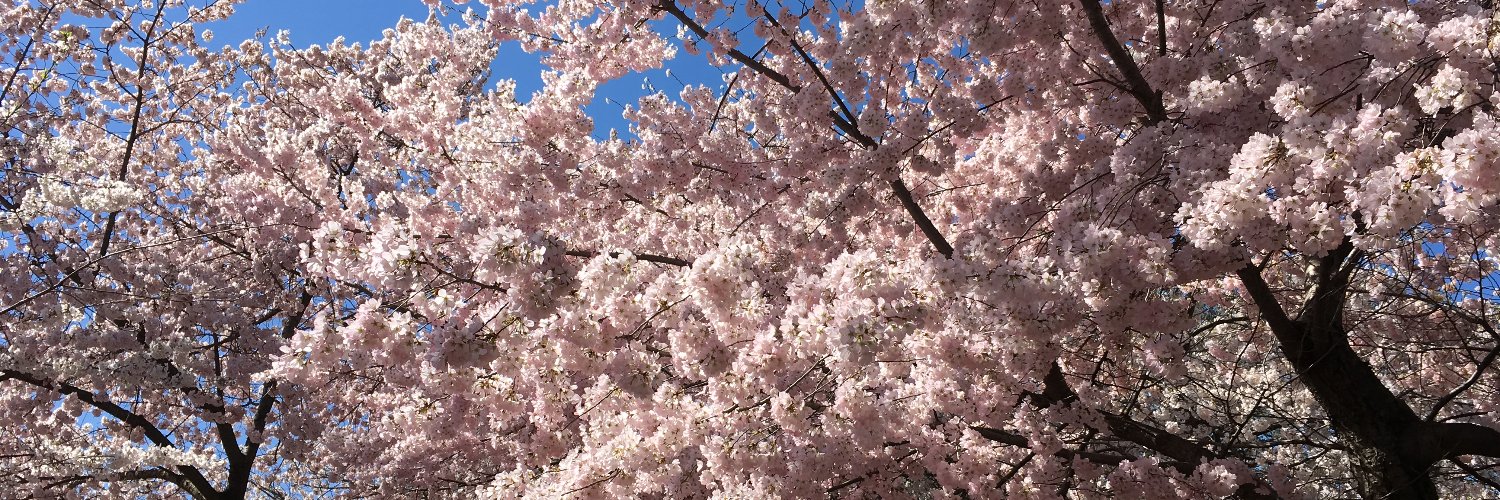 Lisa O'Connor banner