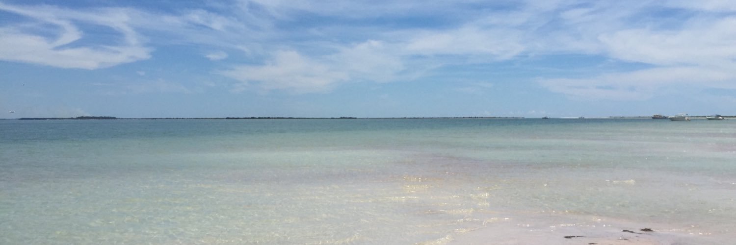 KAbramshe's profile banner image