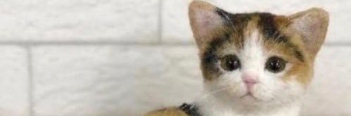 abbiegvnn's profile banner image