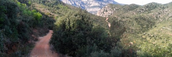 avalles79 Profile Banner