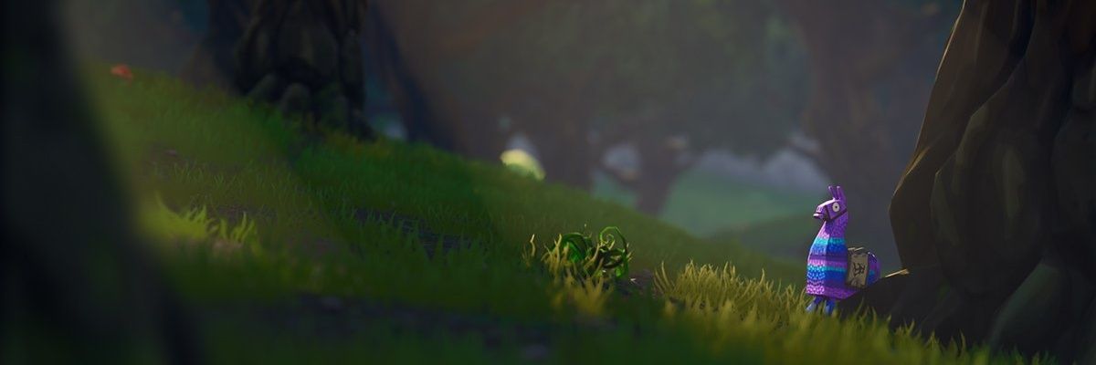 bokiwis's profile banner image