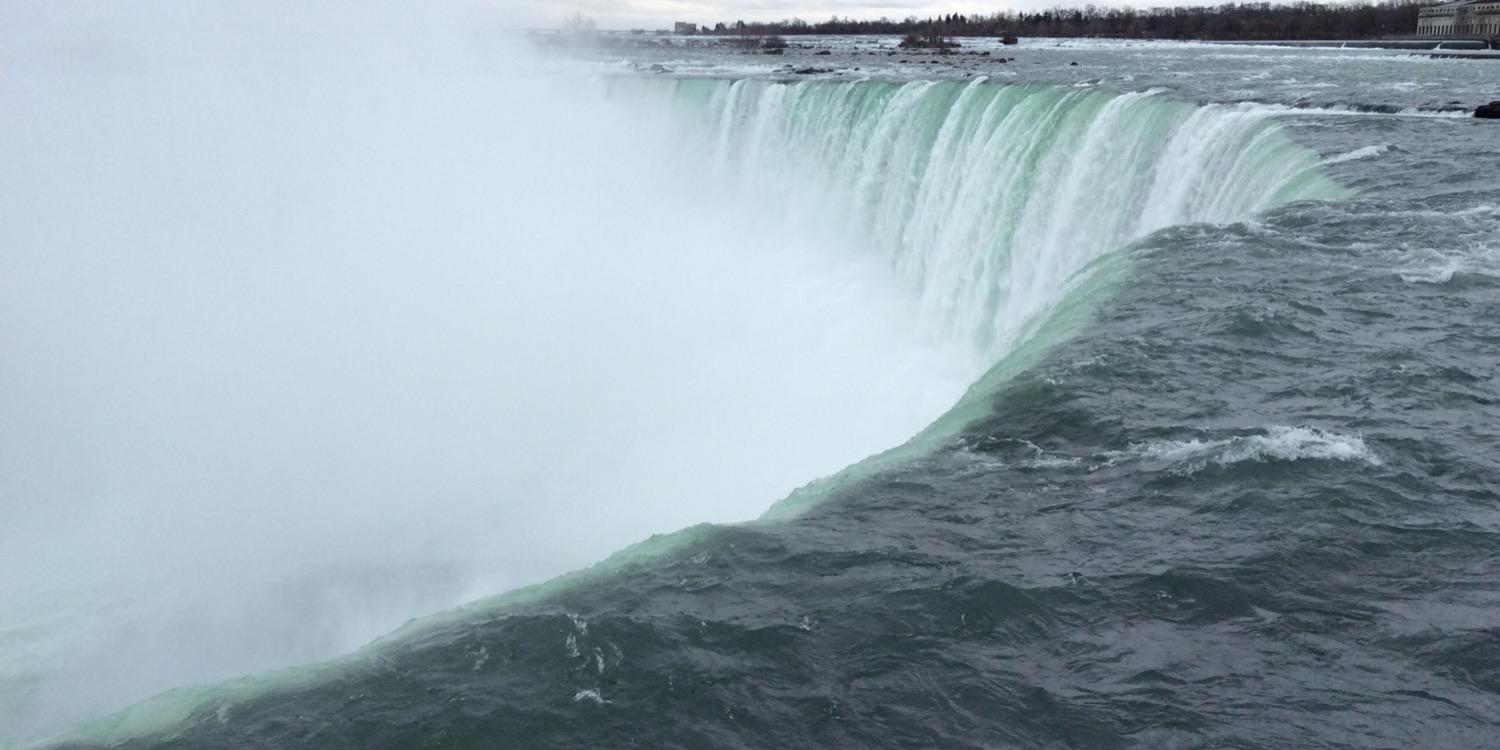 Robyn Forester banner