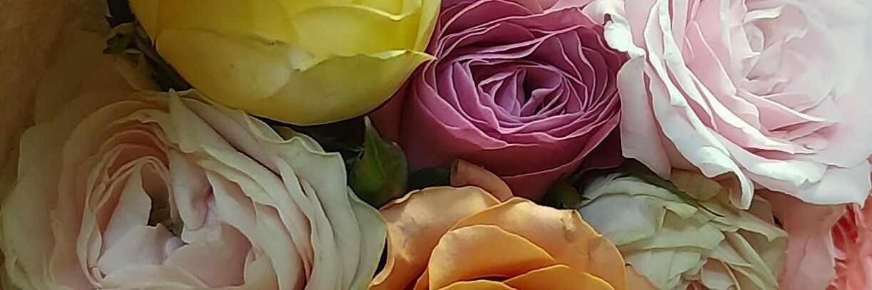 donko2525's profile banner image