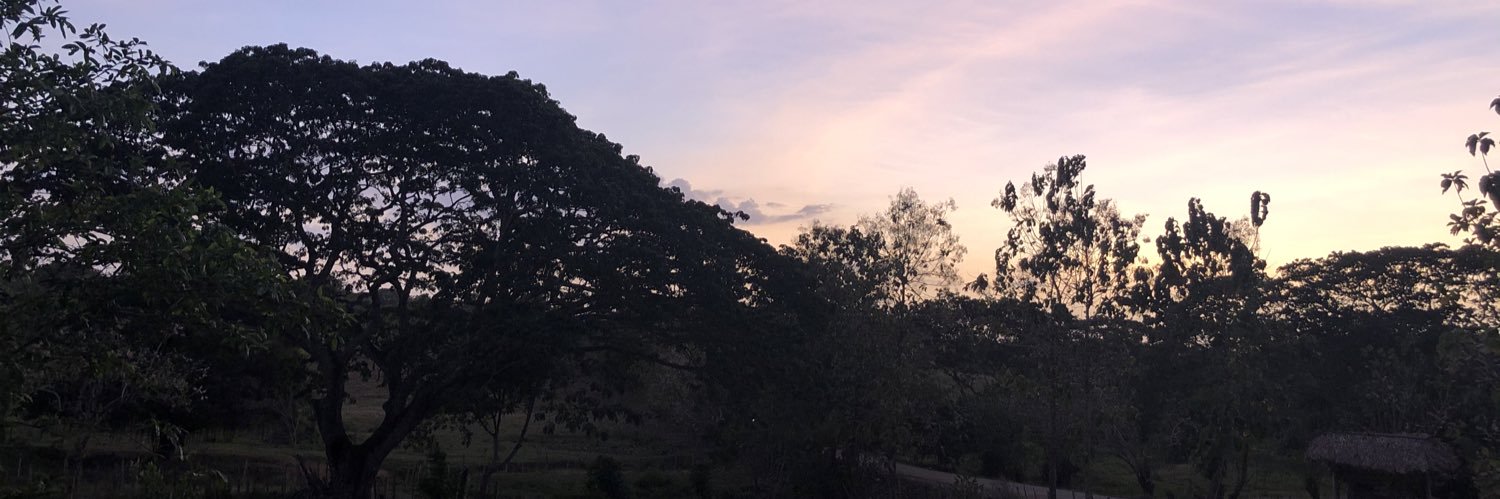 DanyHans's profile banner image