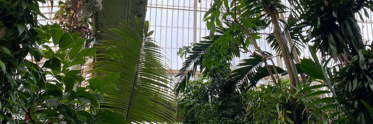 CoreyLBuhay's profile banner image