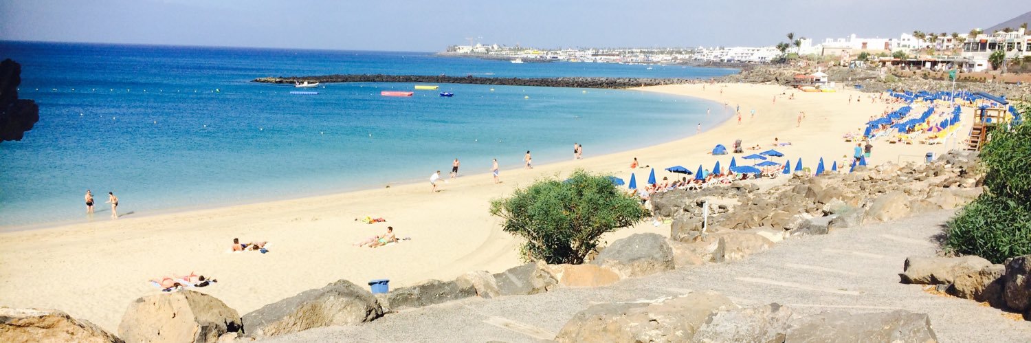 Chelsey Cookson banner