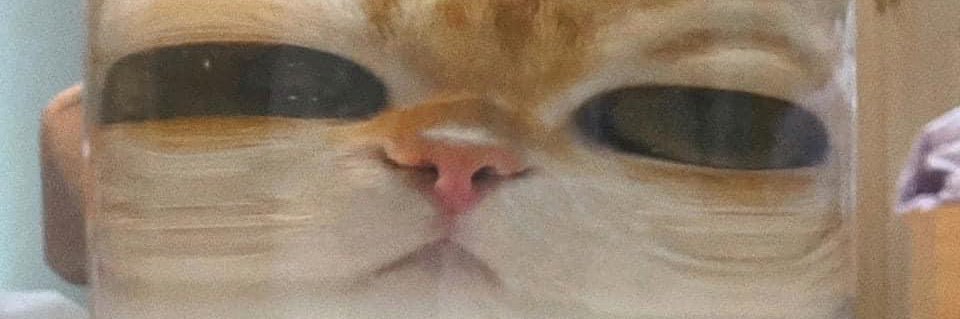 title_eeeee's profile banner image