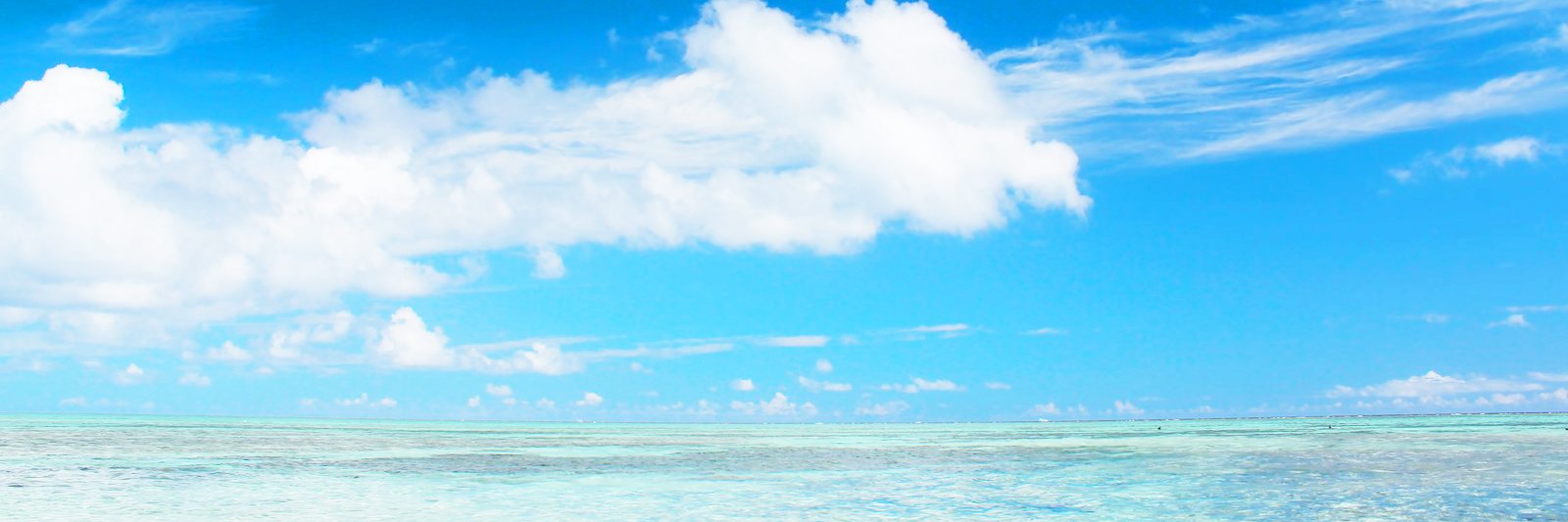 kdmglsif's profile banner image